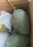 京地達攀枝花凱特芒果 9斤巨無霸單果650g+肉厚無絲新鮮水果源頭直發(fā) 曬單實拍圖