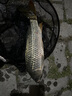 LEM頭燈釣魚專用感應(yīng)帽夾燈強(qiáng)光超亮充電頭戴夾式超長續(xù)航夜釣燈 L300/800MAH/48小時(shí)/COB雙色光源 曬單實(shí)拍圖