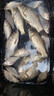 岡原精工（OKABARA SEIKO）日本進(jìn)口碳素超輕硬釣竿手竿魚(yú)竿競(jìng)技野釣十大輕量綜合桿品牌新款 8.1m +原裝竿稍+竿包+禮包 曬單實(shí)拍圖