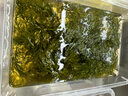 鹽漬馬尾藻 鞭炮筍海藻菜羊棲涼拌菜海草 火鍋食材 鹽漬馬尾藻250g*3袋 曬單實拍圖
