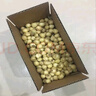 格沃斯（GEWOSI）精品四川大苦藠頭苦芥產(chǎn)地直發(fā)團蔥新鮮薤白苦茭 新鮮苦藠精品（2厘米以上） 半斤 曬單實(shí)拍圖