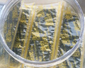 美好時光原味海苔75g(100包*3片) 壽司韓式包飯 即食紫菜 兒童休閑零食 曬單實拍圖