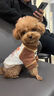 MIKI PAD寵物狗狗衣服夏季薄款透氣T恤小型犬幼犬貓咪衣服泰迪比熊雪納瑞 灰色棒球燙畫【棉質(zhì)護肚】 M胸圍42cm（建議6-8.5斤） 曬單實拍圖