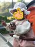 G.DUCKKIDS小黃鴨童裝女童套裝春秋季新款女寶寶周歲禮服兒童公主裙子三件套 GQ120款 粉紅色 100 尺碼2~3歲【 90-100cm】cm 曬單實拍圖