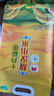 十月稻田 敖漢小米2.5kg 金苗K1 內(nèi)蒙古赤峰 粥米新米 優(yōu)級黃小米 雜糧5斤 曬單實(shí)拍圖