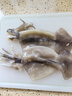 美加佳 鮮凍整只大魷魚（2-3只） 凈重550g 整條魷魚 深海捕撈 海鮮水產(chǎn) 曬單實拍圖