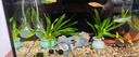 YEE魚(yú)缸氧氣泵小型魚(yú)缸家用打充氧機(jī)養(yǎng)魚(yú)循環(huán)泵增氧機(jī)4w單孔氣盤(pán) 曬單實(shí)拍圖