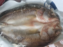 黃小漁寧德三去海鱸魚 3.6斤/3條 冷凍開背鱸魚 生鮮 深海魚類源頭直發(fā) 曬單實(shí)拍圖