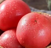 京覓 沙瓤西紅柿 凈重4.5斤 單果100g起 酸甜多汁 可生吃新鮮蔬菜 曬單實拍圖