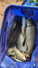 云飛魚500米進(jìn)口魚線主線強(qiáng)拉力大物釣魚線子線海桿專用耐磨尼龍線漁具 熒光黃500米1卷(高檔盒裝) 2號(hào) 曬單實(shí)拍圖