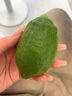 正宗青檸檬新鮮香水青檸皮薄一級手指無籽柃檬奶茶店專用寧檬水果 3斤 中果 曬單實拍圖