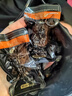 京東京造原切豬肉脯500g 特級0添加防腐劑高蛋白高肉干休閑零食 曬單實拍圖