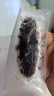 遼參大連有機(jī)冷凍海參1斤10-12只非即食京東自營旗艦店獨(dú)立包裝正品 曬單實(shí)拍圖
