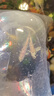 臺(tái)灣純種普身蝴蝶鯉觀賞魚(yú)冷水魚(yú)大鰭大尾冷水魚(yú)好養(yǎng)耐活包郵包活 貴妃白色5-8公分2條 曬單實(shí)拍圖