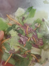 綠食者 蔬菜沙拉150g*3包 生吃蔬菜組合西餐色拉生菜健身輕食沙拉新鮮 沙拉菜3包-無沙拉醬 曬單實拍圖