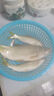 化氏（HUA）化氏大板鯽鯽魚(yú)餌料拉絲粉競技休閑釣窩料釣魚(yú)配方野釣魚(yú)餌 大板鯽 -150g 1包 曬單實(shí)拍圖