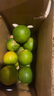 正宗云南小青檸檬新鮮水果青檸檬奶茶店專用檸檬有籽小青檸現(xiàn)貨直 有籽小青檸檬1斤凈重單果20-40g 曬單實拍圖