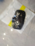 科沃【月銷20W+】跑步手機(jī)臂包攜帶神器運(yùn)動臂腕帶戶外騎行健身手機(jī)包袋防水保護(hù)套適用蘋果華為小米 曬單實(shí)拍圖