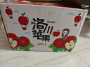 洛川蘋果洛川紅富士蘋果陜西特產(chǎn)時(shí)令生鮮水果產(chǎn)地直發(fā) 健康輕食 10斤中果75-80mm（凈重8.5斤） 曬單實(shí)拍圖