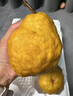 澤鮮達(dá)中華丑梨正宗軟糯梨子新鮮水果山東煙臺當(dāng)季太婆啤梨整箱 3斤精選裝丑梨大果 曬單實(shí)拍圖