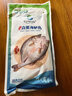 仙泉湖三去白蕉海鱸魚1斤/條凈膛冷凍刺少肉厚珠海特產500g生鮮食材 曬單實拍圖
