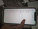 【白條免息】蘋果xr Apple iPhone XR 雙卡雙待 二手手機(jī) 全面屏 二手蘋果XR 蘋果xr 黑色【性價(jià)比優(yōu)選】 128G【更換100%電池+閃充20W】95靚機(jī) 曬單實(shí)拍圖