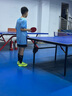 蝴蝶球衣乒乓球服男女短袖套裝夏季運(yùn)動服速干比賽印字羽毛球服定制隊(duì)衣 藍(lán)色 M 曬單實(shí)拍圖