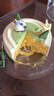元祖（GANSO）6號(hào)中華熊貓鮮奶蛋糕500g 網(wǎng)紅兒童生日蛋糕同城配送 動(dòng)物奶油 曬單實(shí)拍圖