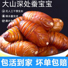 印禾年新鮮蠶蛹特級大黃蠶蛹鮮活發(fā)貨東北特產(chǎn)柞蠶蛹 繭蛹黑蛹 大號 黃蠶蛹500g（約45只左右） 曬單實拍圖