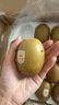 佳沛（zespri）新西蘭  陽光金奇異果25-27粒原箱特大果單果約122-146g  獼猴桃 曬單實(shí)拍圖