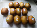 佳沛（zespri）新西蘭陽光金奇異果原箱 16粒巨無霸 單果重約202-230g   獼猴桃 曬單實(shí)拍圖