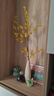 赟婭石來(lái)運轉簡(jiǎn)約輕奢細高長(cháng)陶瓷花瓶電視玄關(guān)柜入戶(hù)門(mén)壁龕裝飾品擺件 石來(lái)運轉玻璃球花瓶-米色+黃花 曬單實(shí)拍圖