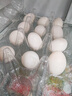 蓮山九鮮 新鮮鴿子蛋孕婦寶寶農家雜糧喂養鴿蛋散養白鴿子蛋禮盒送禮 30枚 600g 禮盒裝 曬單實(shí)拍圖