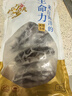 城市漁夫 海釣黃條鰤 15-20斤  京東精英海釣賽 曬單實(shí)拍圖