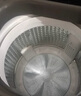 海爾（Haier）波輪洗衣機全自動10KG大容量一級能效超凈洗【XQB100-Z719】家電國家補貼20%小型租房以舊換新家用 曬單實拍圖