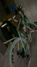 EG7公路自行車成人賽車變速活飛彎把超快競(jìng)速超輕實(shí)心胎死飛男女單車 升級(jí)減震60刀【比安奇】 曬單實(shí)拍圖