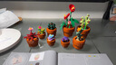 樂高（LEGO）積木拼裝10329 迷你盆栽男孩女孩玩具生日禮物 曬單實(shí)拍圖