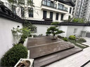 精品造型油松黑松赤松大型景觀松庭院松綠化工程松 其他規(guī)格 具體造型規(guī)格咨詢客服選樹 曬單實(shí)拍圖