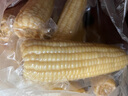 京鮮生東北白糯玉米250g*10棒 新鮮甜糯玉米棒真空包裝粘玉米 源頭直發(fā) 曬單實(shí)拍圖