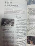 【新華書店正版】適用初中八年級(jí)上冊(cè)歷史書人教版課本正版教材教科書人民教育出版社8年級(jí)上冊(cè)歷史課本人教部編版初 曬單實(shí)拍圖