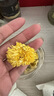 協(xié)穆胖東來(lái)正宗婺源黃菊貢菊杭菊大朵黃山黃菊護肝精品清熱下火菊花茶 特選精品皇菊1罐（125克含罐） 曬單實(shí)拍圖