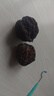 老農(nóng)哥【現(xiàn)貨】文玩核桃青皮麻核桃獅子頭麒麟紋官帽把玩新青皮賭青皮 曬單實(shí)拍圖