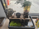 樸記流水擺件循環(huán)水假山景觀(guān)魚(yú)缸招財金蟾貔貅客廳玄關(guān)辦公室前臺喬遷 小號-上善若水-金蟾招財 曬單實(shí)拍圖