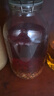 喜碧（Scybe）泡酒容器玻璃泡酒瓶酒壇泡菜壇子10斤裝泡酒密封罐青梅酒罐+酒提 曬單實拍圖