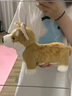 JELLYCAT英貝蒂小柯基犬掛件鑰匙扣毛絨小狗玩偶可愛書包掛飾 貝蒂柯基掛 貝蒂柯基掛 曬單實拍圖