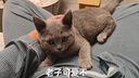 展藝按壓冰格套裝雙層模具 冰箱冷凍制冰儲(chǔ)冰盒家用食品級(jí)可接觸秒脫 曬單實(shí)拍圖