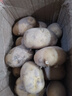新鮮土豆現(xiàn)挖現(xiàn)發(fā)山東正宗黃心黃肉當(dāng)季蔬菜馬鈴薯洋芋薯?xiàng)l3兩起 山東土豆帶箱4斤 中大果 曬單實(shí)拍圖