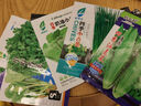 【種子大全】12種蔬菜種子四季菜種子陽(yáng)臺盆栽綠植庭院易種春秋 油麥菜+小蔥+小白菜+香菜+雞毛菜 曬單實(shí)拍圖