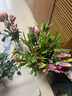 京東鮮花百合8朵+玫瑰10支送配草1束共3束組合鮮花花束隨機色產(chǎn)地倉直發(fā) 曬單實拍圖