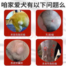 狗狗腫瘤藥乳腺腫瘤脂肪瘤快消貓咪益消康皮膚腫瘤鼓包身上長疙瘩 特效：買2送1【99種腫瘤通用】 曬單實拍圖
